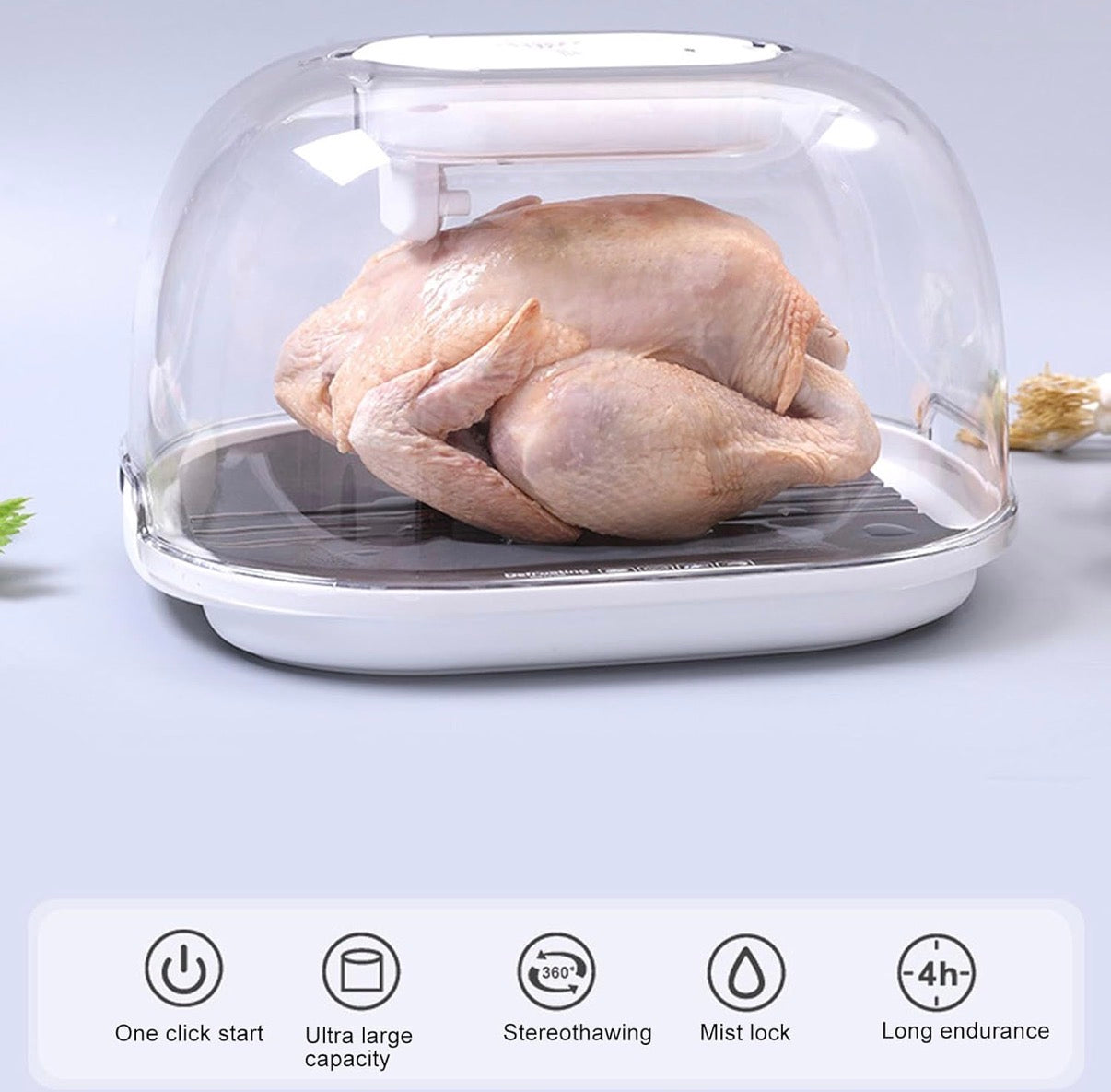 ThawerPro™️ Kitchen Household Food Preservation Freezer Thaw Plate Household Convenient Thawer Dust-proof Table Thawing Plate 2022