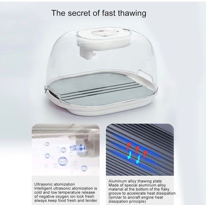 ThawerPro™️ Kitchen Household Food Preservation Freezer Thaw Plate Household Convenient Thawer Dust-proof Table Thawing Plate 2022