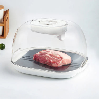 ThawerPro™️ Kitchen Household Food Preservation Freezer Thaw Plate Household Convenient Thawer Dust-proof Table Thawing Plate 2022