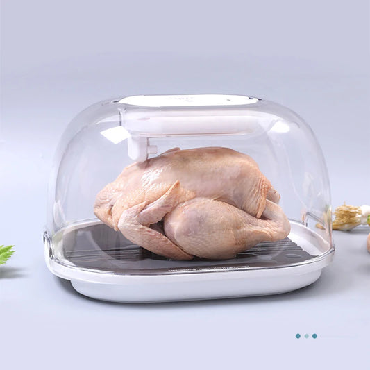 ThawerPro™️ Kitchen Household Food Preservation Freezer Thaw Plate Household Convenient Thawer Dust-proof Table Thawing Plate 2022