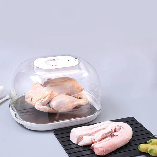 ThawerPro™️ Kitchen Household Food Preservation Freezer Thaw Plate Household Convenient Thawer Dust-proof Table Thawing Plate 2022